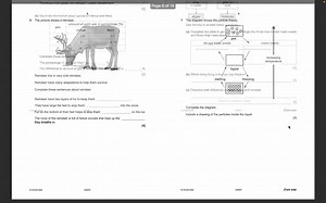2022 Cambridge Science Stage 5 - Progression Test - Etsy UK
