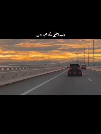 Exploring the Art of TikTok Poetry