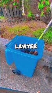 On My Birthday, Dad Texted 'Emptied Your College Fund Your Sister's Baby Needs A Nursery You Can