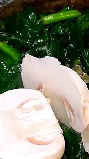 Cooking and ASMR: The sound of oil sizzling in a frying pan #cooking #food #asmr #yummy #delicious