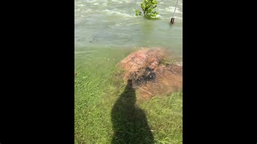 Water release at Buchanan Dam as lake nears full capacity in Texas, USA