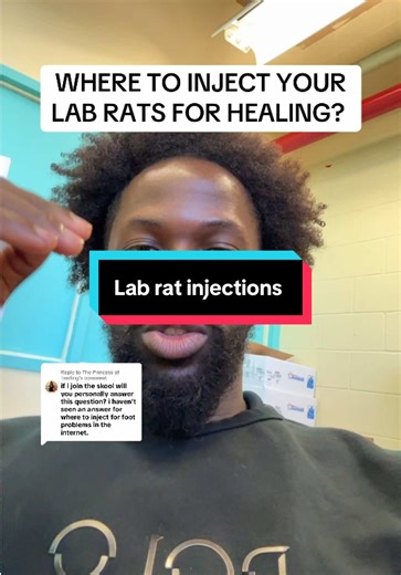 Where to Inject Lab Rats for Healing Injuries