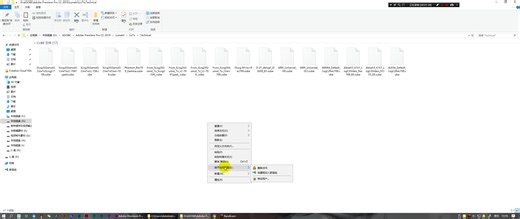 Pr导入LUT的方法演示（索尼LUT的SLog-709演示）