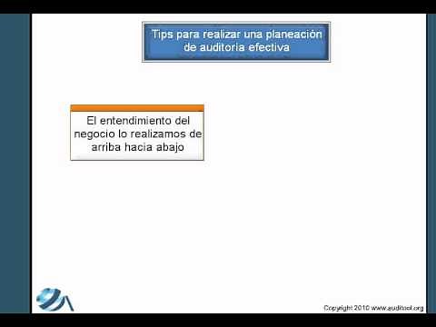 Video 4: Planeación de la Auditoría