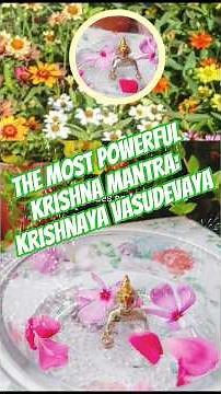 Krishnaya Vasudevaya Haraye Paramatmane | श्री कृष्ण मंत्र (Peaceful Meditation)