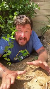 Sulcata tortoise digs 8 foot burrow in backyard 😳 | Garden State Tortoise