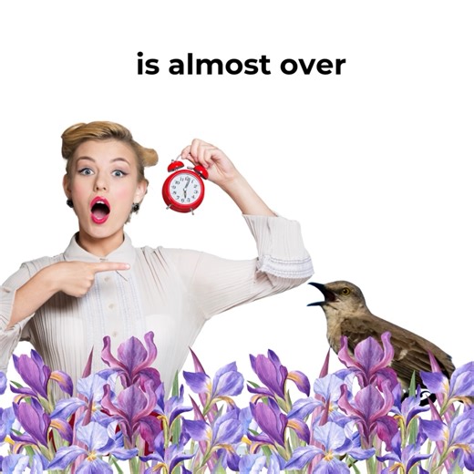 Hey Tennessee-based college students! It's time to send us your poem! Tennessee Collegiate Poetry Contest submissions are open through November 1, 2025! Win prizes. Get published! Learn more at https://www.poetrytennessee.org/pstcollegiate.html #TennesseeCollegiateContest #poetrycontest #PoetryinTennessee #winprizes #getpublish #wewantyourpoems | The Poetry Society of Tennessee