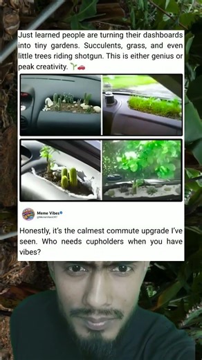 Turning My Car Dashboard Into Tiny Garden