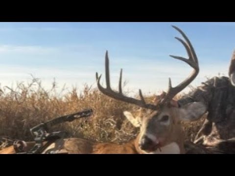2023 South dakota Archery season