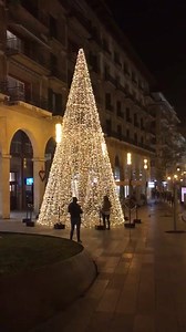 Festive Palma! | Majorca Daily Bulletin