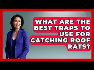 What Are The Best Traps To Use For Catching Roof Rats? - Insects and Invaders