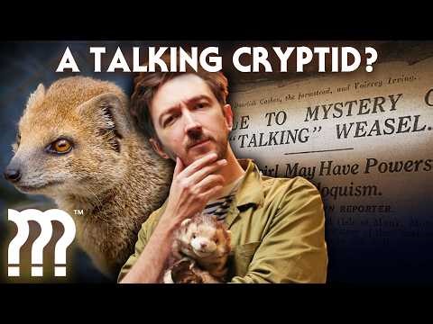 The Most Paranormal Animal Encounter of All Time • Mystery Files