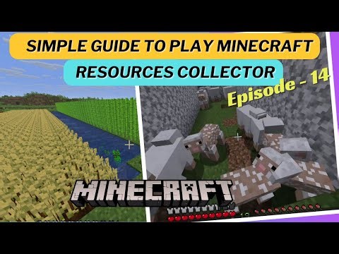 Minecraft Survival Guide Episode 14: Resources Collector (Beginner Tutorial)