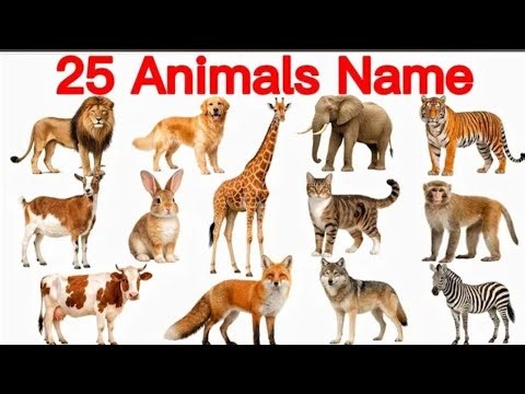 25 Animals Name English & Hindi | 25जानवरों के नाम | Learn Animals Name &Pictures |जानवरों के नाम