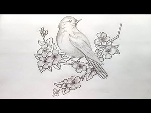 How to draw a Bird with pencil sketch.Step by step(easy draw)