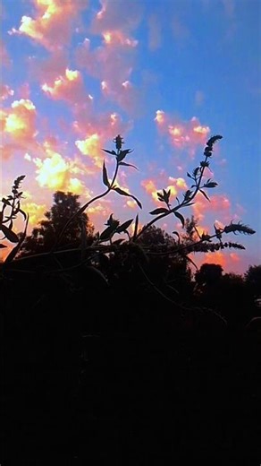 Colorful Sunset Clouds Nature Beauty#EveningVibes