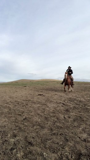 Funny Cowboy Jokes in Wyoming