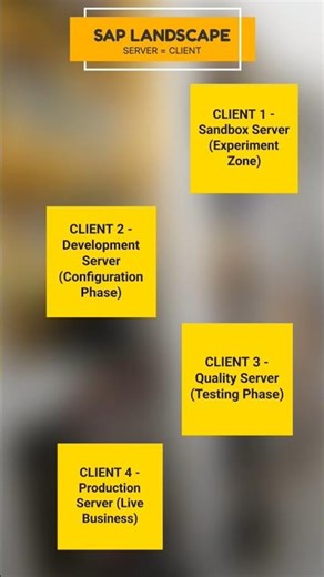 SAP LANDSCAPE or CLIENT #sap #education #knowledge