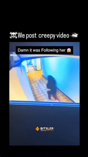 NetCreep on Instagram: "This video was posted on TikTok by 4everfloe, who worked at a hotel. One night during a late shift, he and his coworkers decided to check the hotel's security cameras. What they saw was chiling - a young woman running through the hallway, clearly in a hurry. She reached the elevator, but no matter how many times she pressed the button, the doors wouldn't close. At first, they thought nothing of it. But when they checked more footage the next day, things took a terrifying 