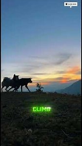 Want to Ride a Horse? Start Here #cowboyhistory