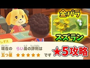 【あつ森】超入手困難な金のバラとスズランを最速で入手可能！！島の評判を★5にする方法をまとめました！！【どうぶつの森】