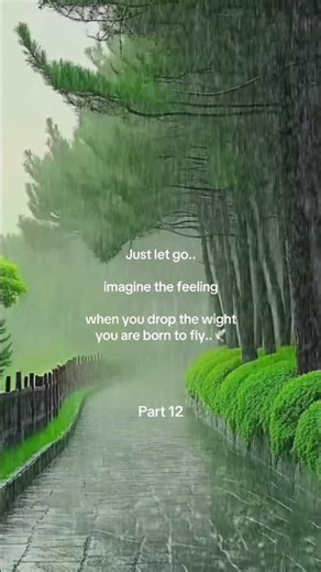 Don't ruin your day. Just clear your head. Part 11/17