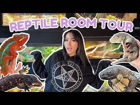 INSIDE MY DREAM REPTILE ROOM l MEET MY REPTILES