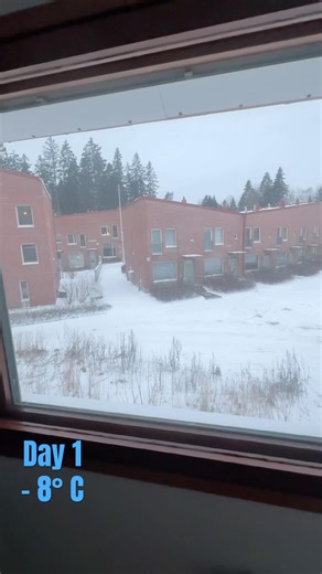￼EU through my window. Day 1, -8° C 3JAN26 #germany #europeansummit #snow #heavysnowfall #winter