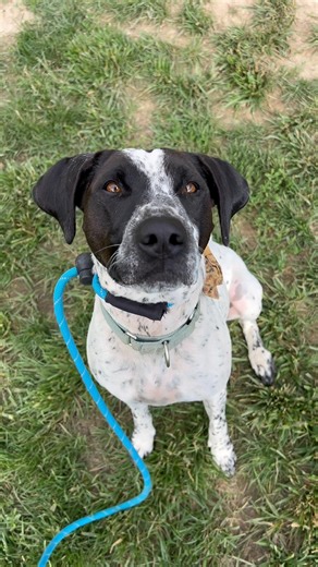 14K views · 1.3K reactions | Meet Claire Bell, a four-year-old...