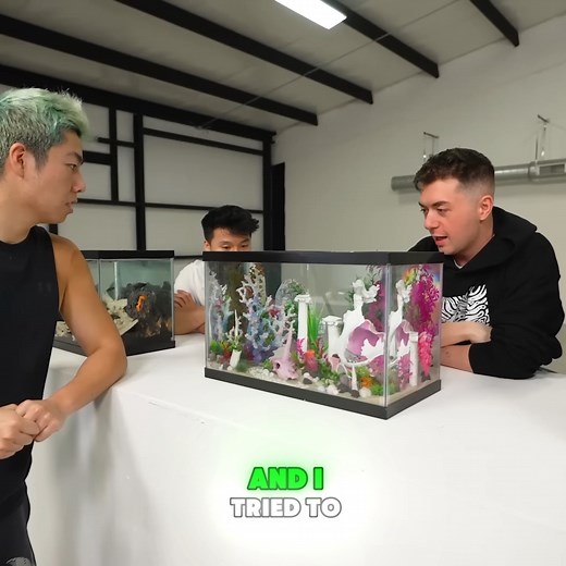 I Built 5 EXTREME Fish Tanks For My Fish! | ZHC