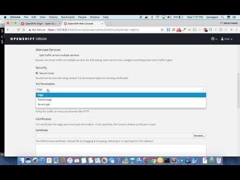 Push local docker images to openshift registry - minishift