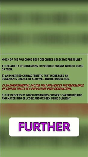 Exam Prep: Playlist & Podcast Review for Your Success