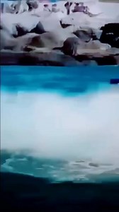 9.1K views · 352 reactions | Rose .. By Titanic 藍 | Diamante | Facebook