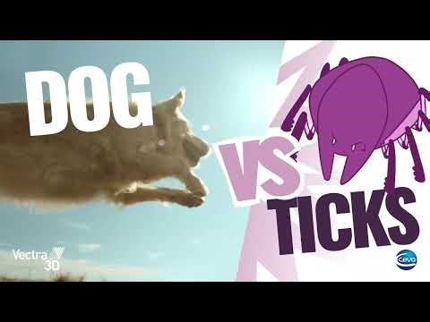 VECTRA 3D - Ticks prevention