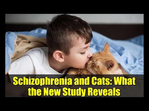 Schizophrenia and Cats: What the New Study Reveals