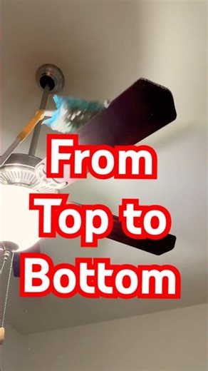 Dust Off Top to Bottom — Watch This Satisfying Deep Clean!