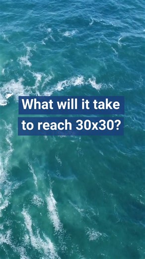 Global Fishing Watch on Instagram: "Only 8–9% of the ocean is protected today. With the 30x30 goal fast approaching, closing the gap will require more than commitments. Global Fishing Watch is helping stakeholders see what’s happening at sea, using transparent, actionable data to guide protection efforts. Interview with @devex_com 🌊 Learn more via the link in our bio"
