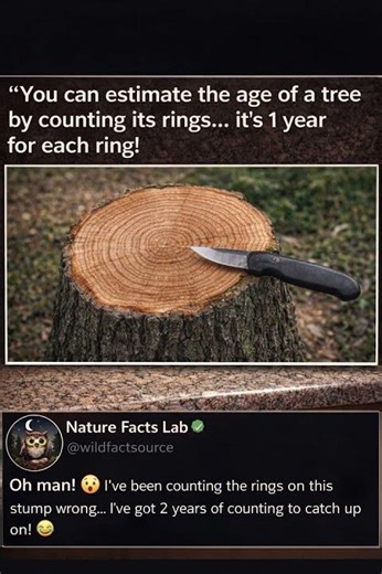 Facts about Trees