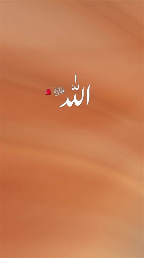 ❣️S ki deewanii❣️ (@niazii.jana)’s videos with original sound - ALI123