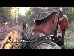 HECS Technology Keeps Bull From Busting