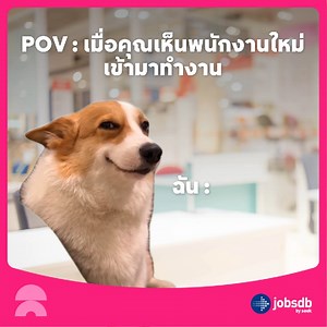 คนในอยากออก คนนอกอยากเข้า😆 . งานที่ดี คืองานใหม่ที่จ๊อบส์ดีบี 👉 https://9xv4.app.link/e/4DmkX7JyVHb . 💼 Match งานที่ใช่ ได้ดีกว่าเดิมด้วย AI จาก Jobsdb by SEEK✨ . #หางาน #สมัครงาน #Matchงานที่ใช่ได้ดีกว่าเดิมด้วยAI #BetterMatches #Jobsdb #SEEK | Jobsdb Thailand