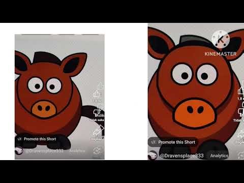 Animal size comparison