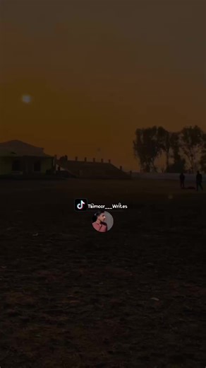 Last Line: A Glimpse into Life and Resilience