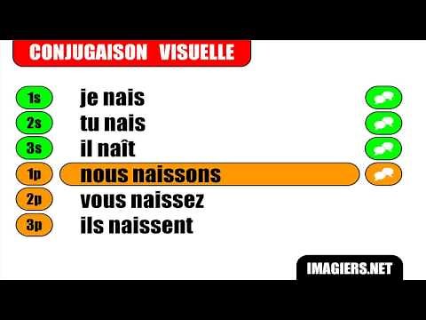 Conjugaison # Indicatif Présent # Verbe = Naître