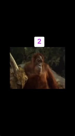 chichewa scenes🇲🇼🇲🇼🇿🇦 (@chichewa.scenes)’s videos with original sound - chichewa scenes🇲🇼🇲🇼🇿🇦