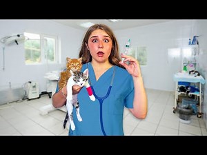 I Became A VET For The Day 🐶🐱