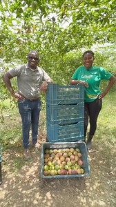 1.2K views · 38 reactions | Years ago, Ghana heavily relied on...