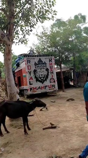 royal khushi #djtiktokterbaru #dj #remix