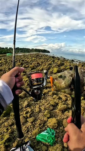 Discovering Bun-og: Overfishing or Rare Find?
