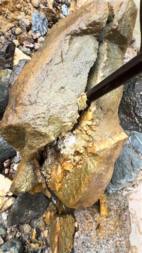 gold prospecting for beginner ✅🧽